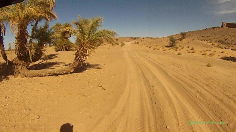 Weichsandfeld auf der Wüstenpiste von Mhamid zur Auberge Dinosaur in der KemKem, Marokko