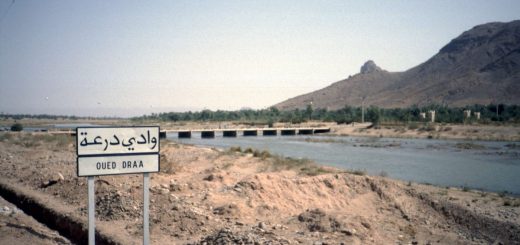 Oued Draa bei Zagora