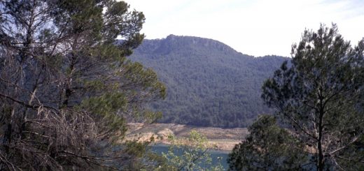 Stausee in der Sierra de Cazorla: Embalse del Tranco de Beas (Guadalquivir)