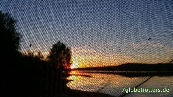 Das richtige Moskitonetz hält auch die schwedischen Mücken draußen