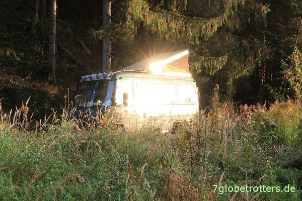 MB 711 in der Morgensonne