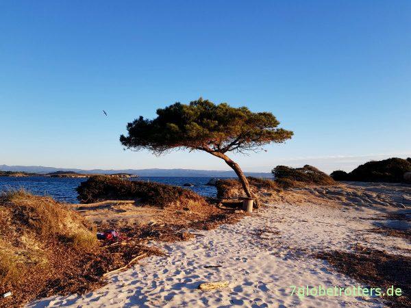 Der angeblich schönste Strand von Sithonia