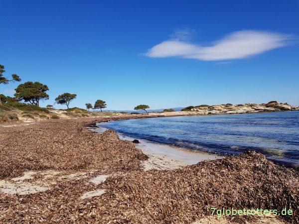 Der angeblich schönste Strand von Sithonia
