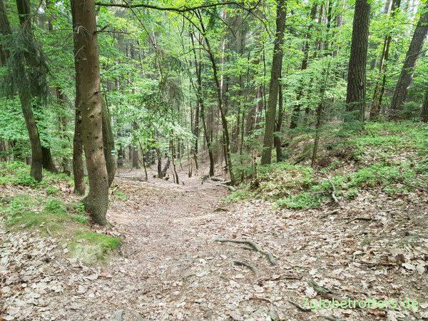 Wanderung durch die Böhmische Schweiz: Wilde Klamm und Prebischtor