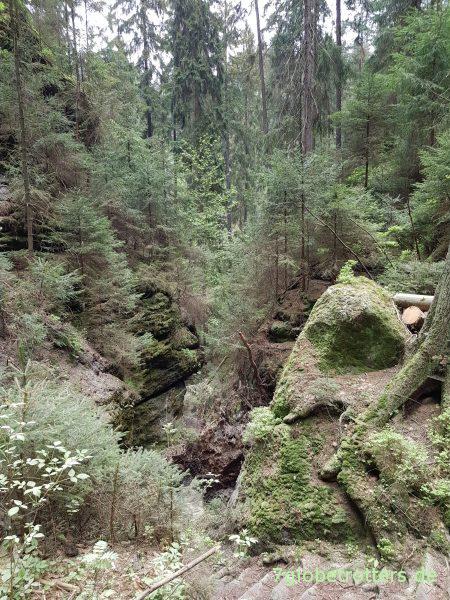Wanderung durch die Böhmische Schweiz: Wilde Klamm und Prebischtor