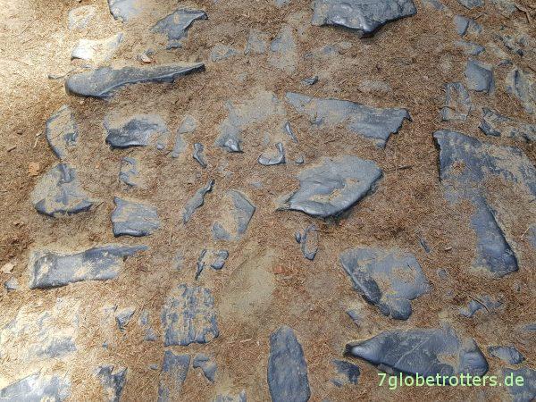 Wanderung durch die Böhmische Schweiz: Wilde Klamm und Prebischtor
