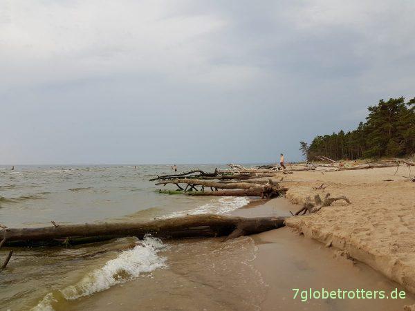 Lettland, Kreuzsee Leuchtturm Kolka, Nationalpark Slitere, Liepaja - Libau, Jurkalne, Ventspils - Windau, Nationalpark Slitere
