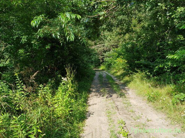 Polen: Sommer, Sonne, Fluss. Und der längste Marktplatz Europas in Pułtusk