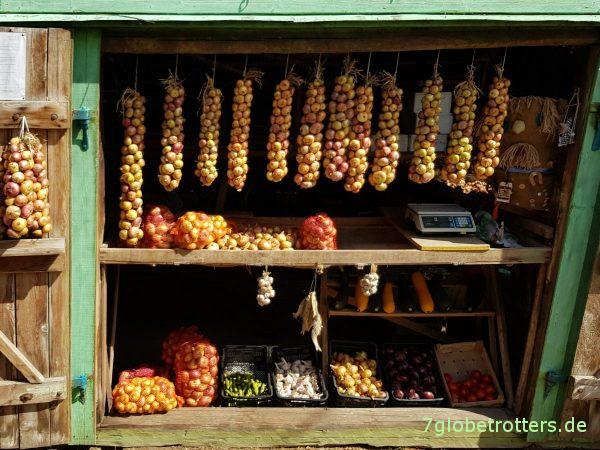 Estland, altgläubige Dörfer am Peipussee, Zwiebelrussen, russische LKWs, Karakatitsa