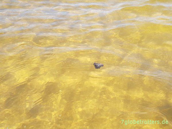Offizielles Wildcampen in Estland an der Ostsee erlaubt oder verboten