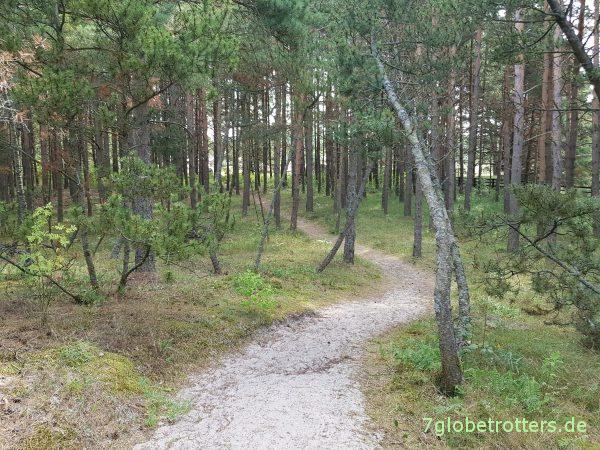 Lettland: Naturcampingplatz Pape und Pape Naturpark Rucava
