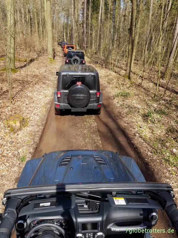 Jeep im Wald, Jeep goes green, Wiederaufforstung