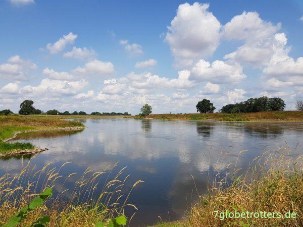 Kanutour Riesa - Torgau mit der Strömung, nur mit Fließgeschwindigkeit der Elbe