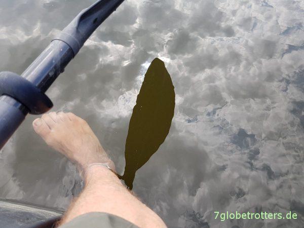 Kanutour Riesa - Torgau mit der Strömung, nur mit Fließgeschwindigkeit der Elbe