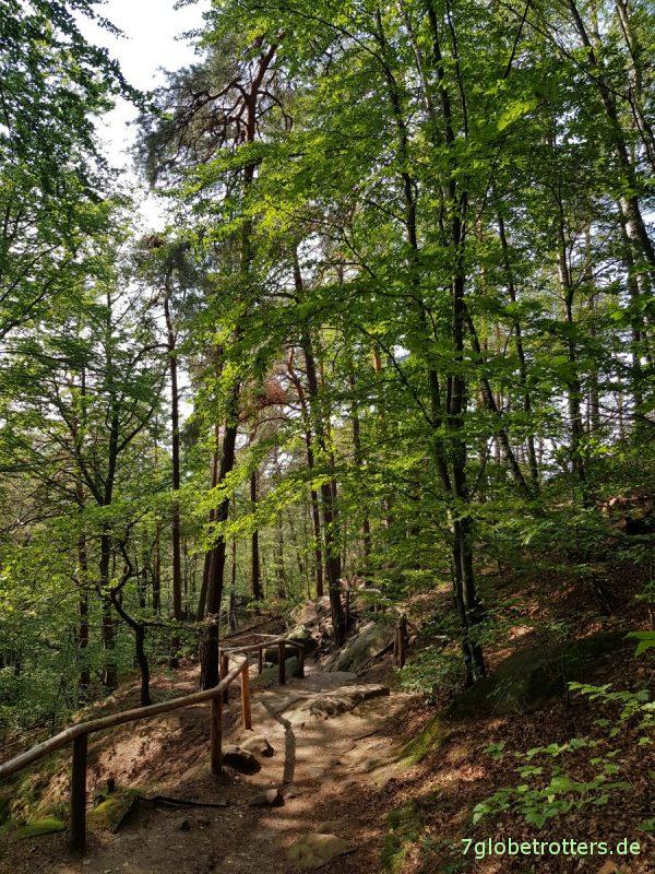 Wandern von Rathen über Kottesteig und Lottersteig zum Lilienstein und nach Königstein