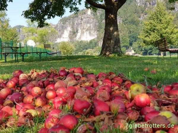 Wandern von Rathen über Kottesteig und Lottersteig zum Lilienstein und nach Königstein