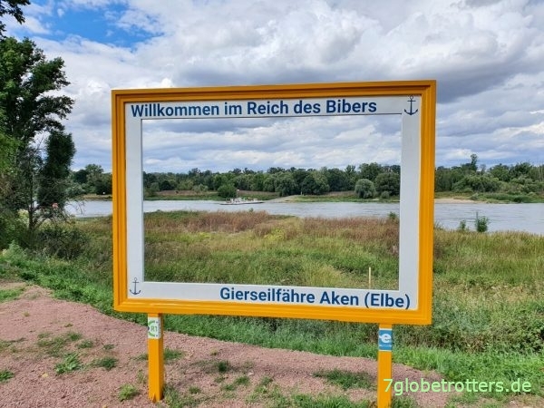 Mittelelbe im Kajak: Gegen den Wind durchs Biberreservat Aken