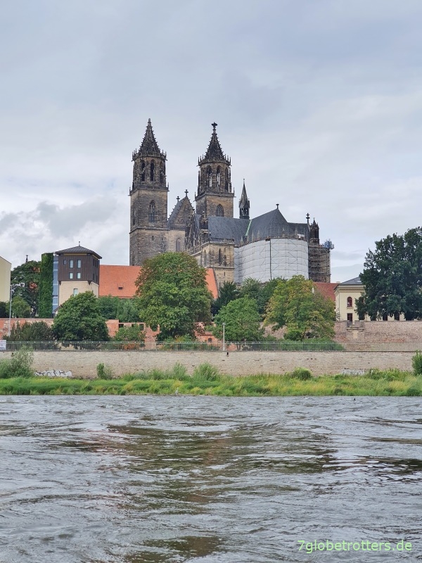 Domfelsen Magdeburg: Paddeln auf der wilden Elbe