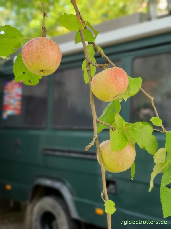 Backen im Wohnmobil: Rezept für Apfel-Pflaume-Streusel-Hefekuchen
