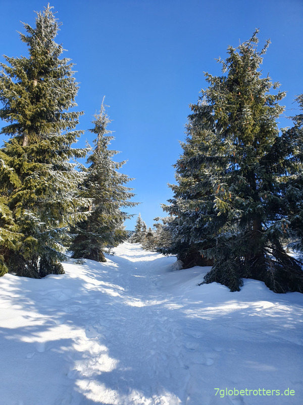 Tschechien: Skitour zur Tafelfichte / Smrk