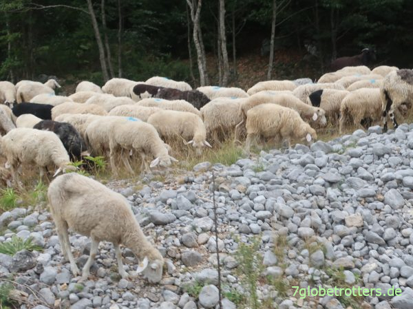 Albanien: Straße aus dem Boga-Tal über den Thore-Pass nach Theth
