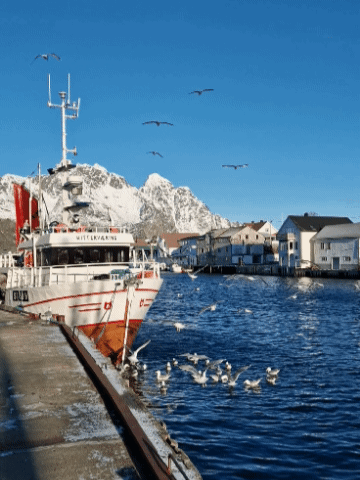 Lofoten Hafen Hennigsvaer