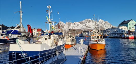 Henningsvær, schönster Hafen der Lofoten in Norwegen