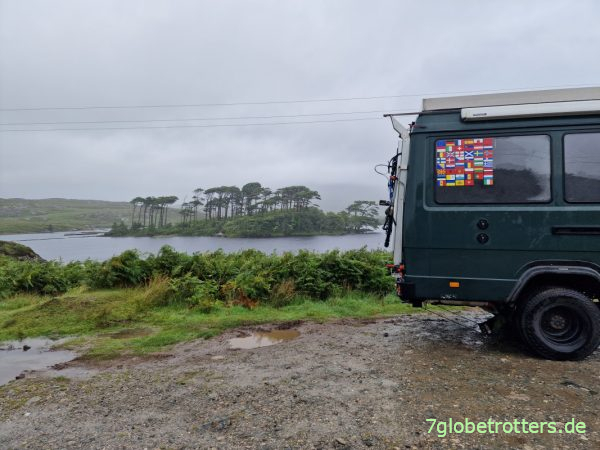 Reisetipps Irland (Pines Island Derryclare Lough)
