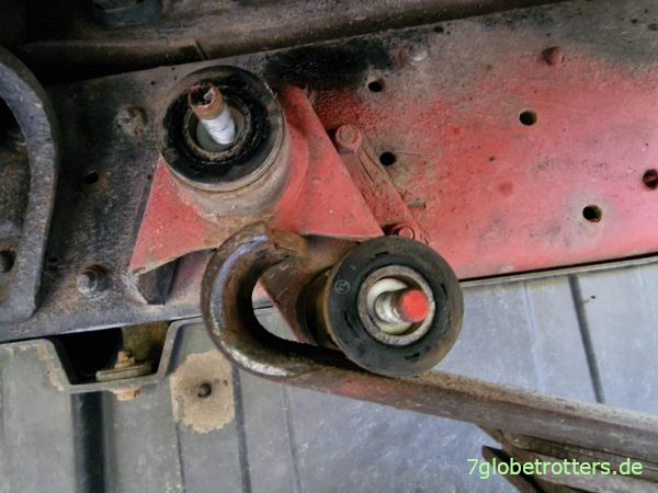 Am Federauge gebrochene Vorderfeder