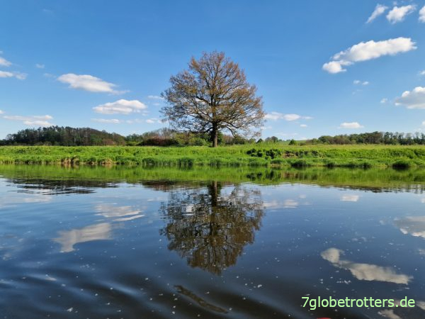 Idyllisches Paddeln auf der Freiberger Mulde