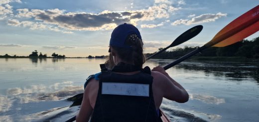 Abendliches Paddeln auf der Elbe bei Hinzdorf km 448