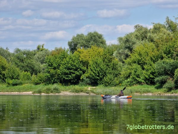 Einsamer Elbpaddler