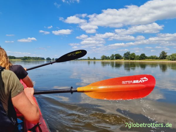 Paddeln auf der Elbe