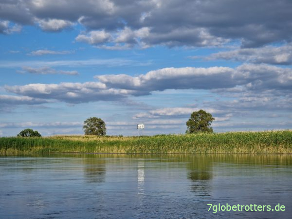 Paddeln auf der Elbe am km 444
