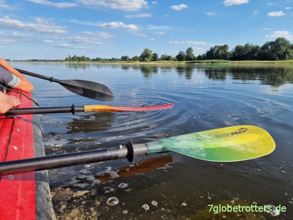 Schmutzige Elbe an der Neuen Havelmündung bei Rühstedt km 438