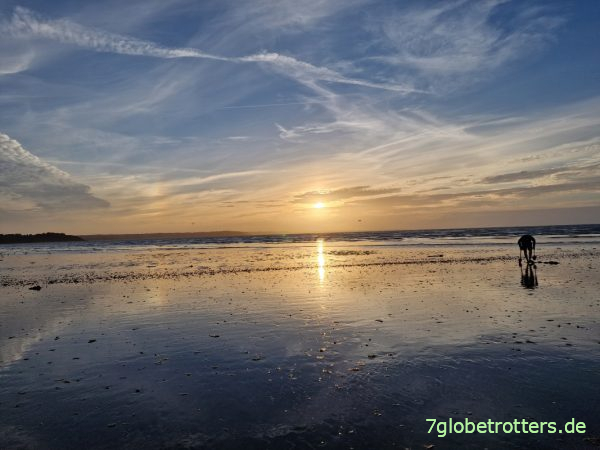 Ebbe in der Bretagne