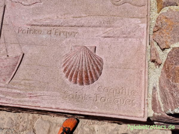 Jakobsmuschel am Cap Fréhel