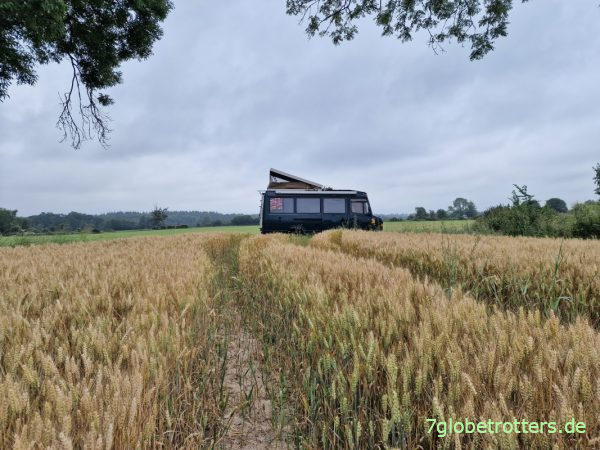 Stellplatz im Kornfeld