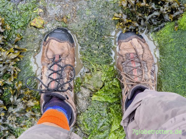 Wasserdichte Wanderschuhe im Schlick von Lorient