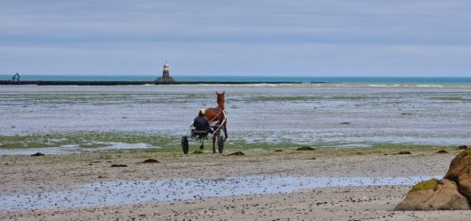 Wattwanderung in der Baie de Saint-Brieuc