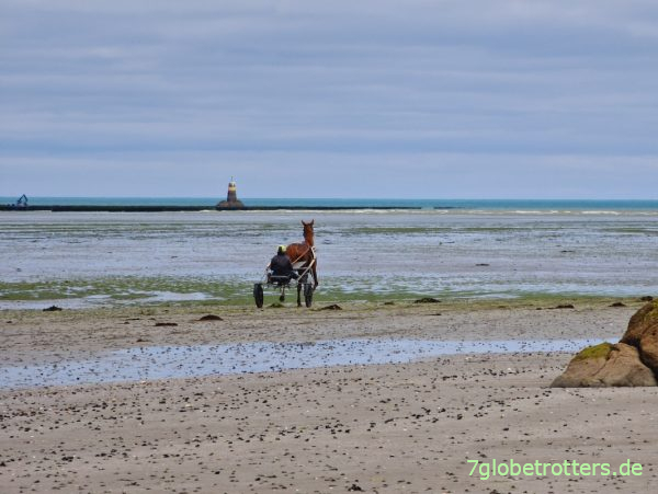 Wattwanderung in der Baie de Saint-Brieuc