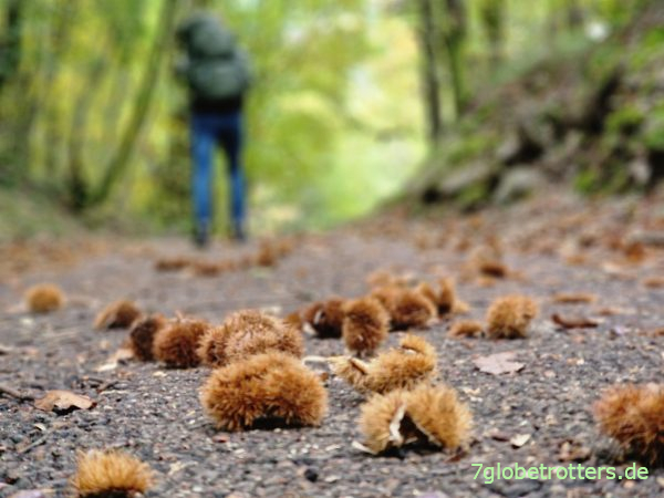 Leiferer H&ouml;henweg
