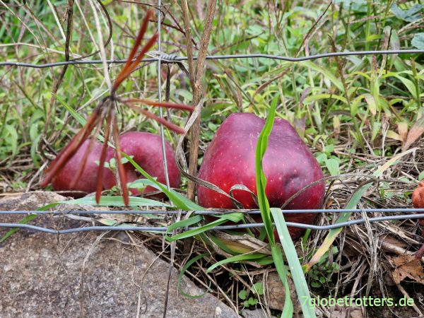 Leiferer H&ouml;henweg