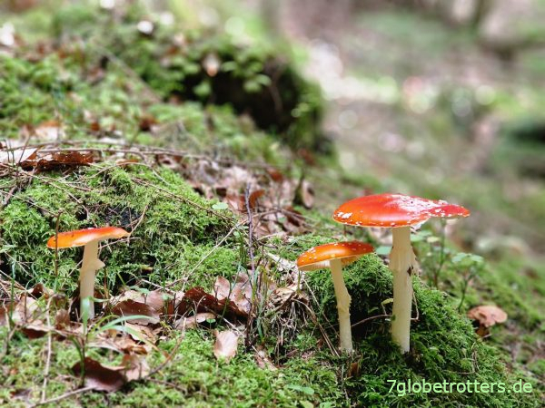 Leiferer H&ouml;henweg