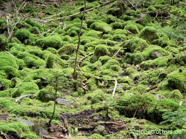 Leiferer H&ouml;henweg