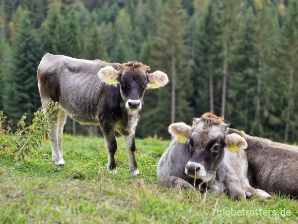 Leiferer H&ouml;henweg