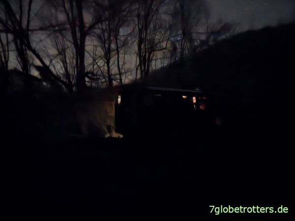 Mercedes 711D mit verbesserungswürdiger Verdunkelung