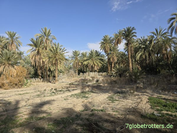 Ausgetrocknete Bergoase von Mides