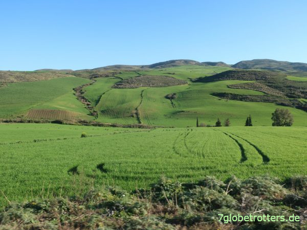 Im tunesischen Tell-Atlas