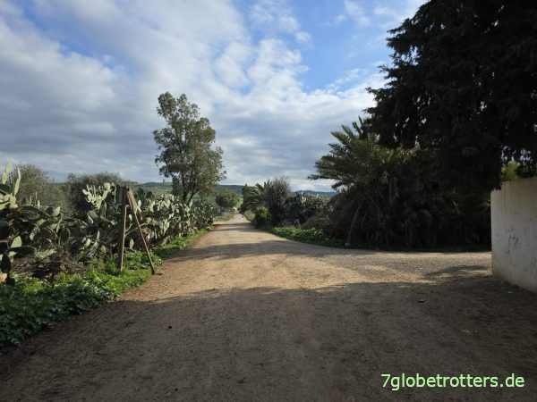Hauptstraße Mestouta Tunesien Hauptstraße Mestouta Tunesien
